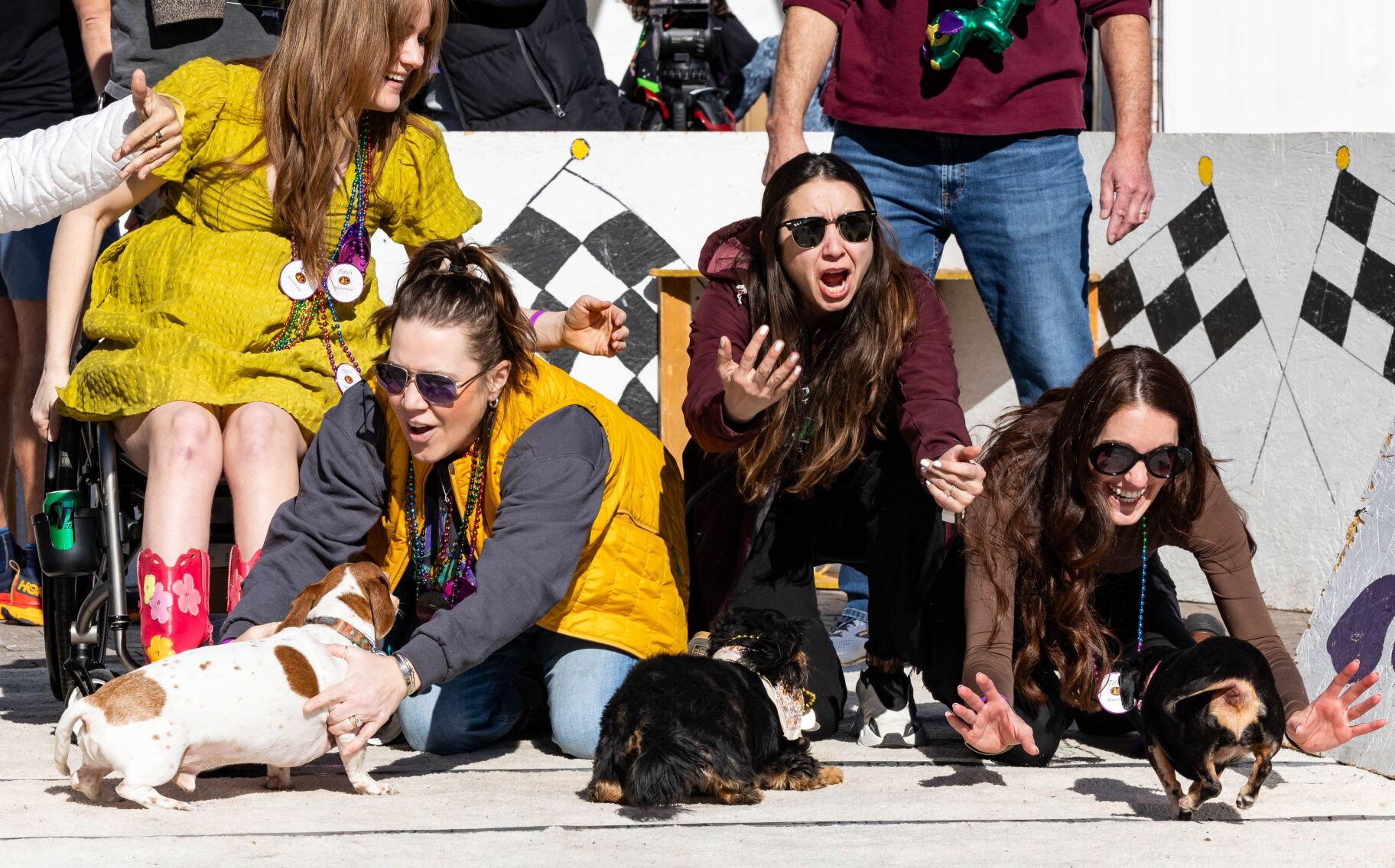 Annual Purina Pet Parade marches through Soulard